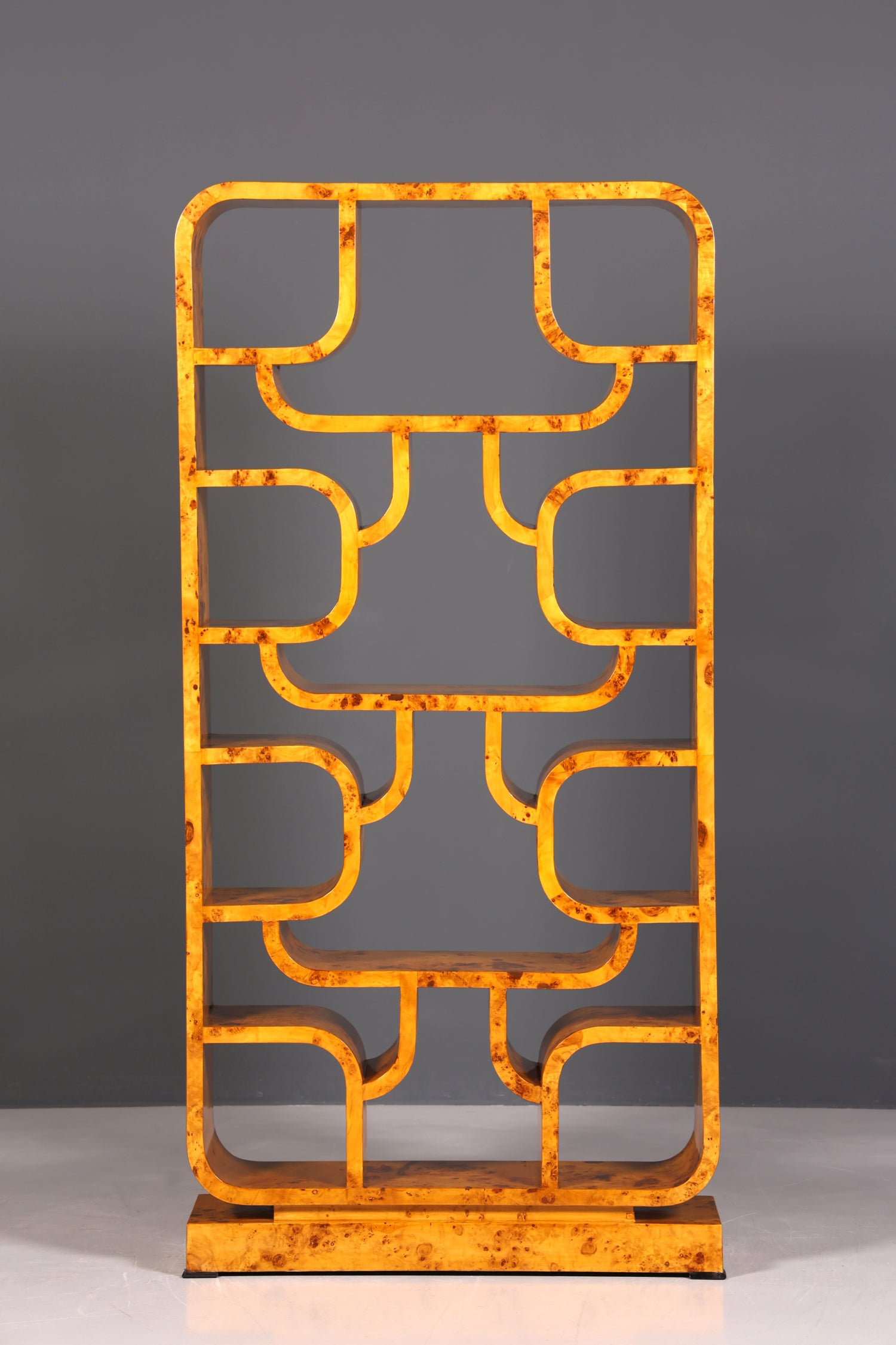 Beeindruckendes Ludvik Volak Stil Bücherregal Birke Art Deco Stil Luxus Möbel Kult Bibliothek Raumteiler