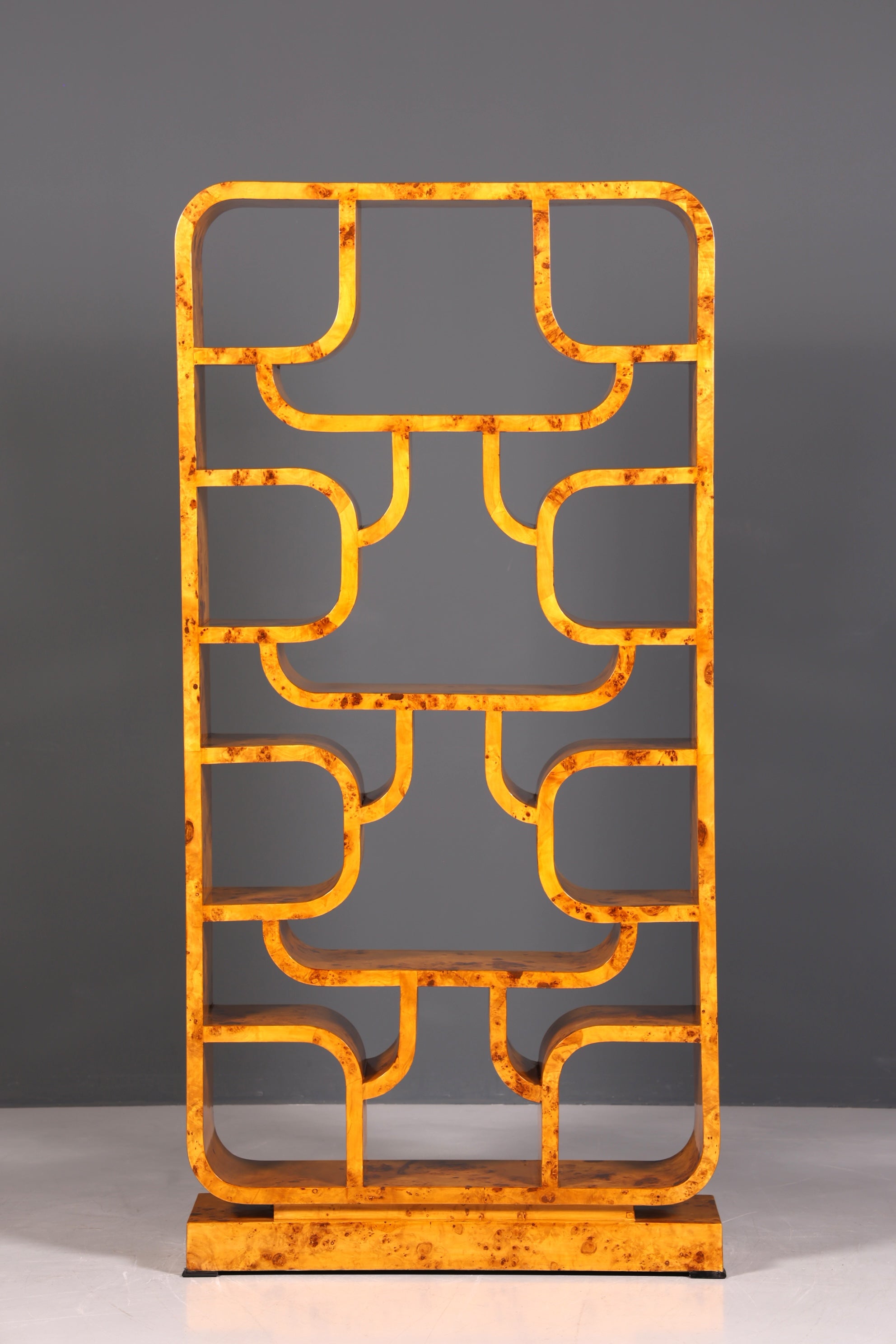 Beeindruckendes Ludvik Volak Stil Bücherregal Birke Art Deco Stil Luxus Möbel Kult Bibliothek Raumteiler