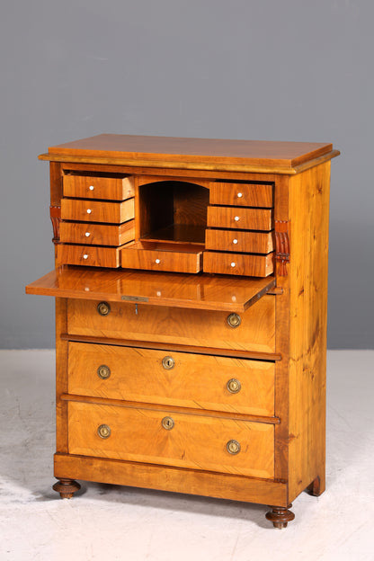 Wunderschöner Gründerzeit Sekretär Vertiko Highboard Louis Philippe Kommode um 1880