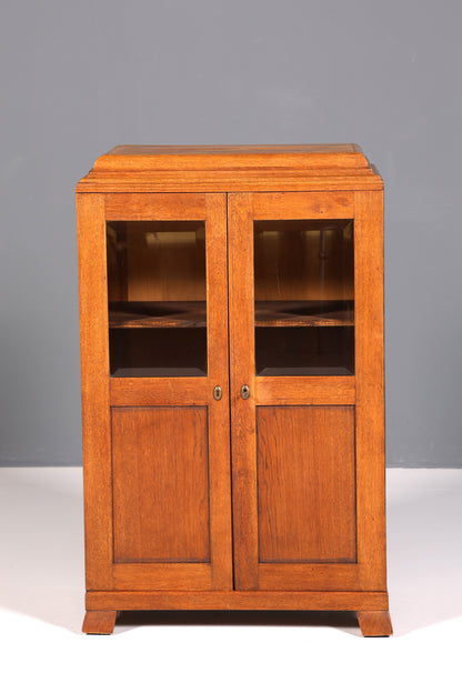 Dreamlike Art Nouveau display cabinet, antique wooden bookcase, oak antique cabinet, sideboard