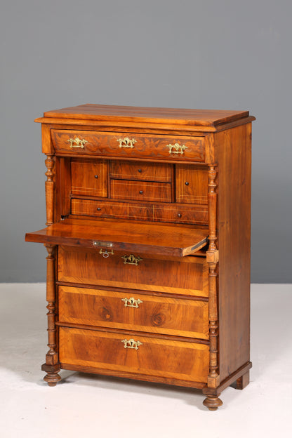 Edler Gründerzeit Sekretär Vertiko Highboard Louis Philippe Kommode um 1880