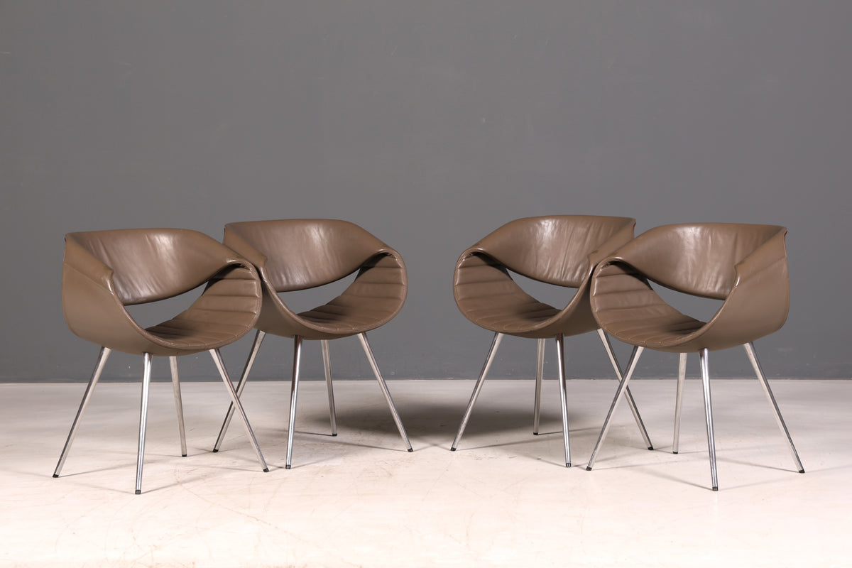 Edles 4er-Set Züco Little Perillo Design Ledersessel Echtleder Armlehnstuhl Chrom Modern