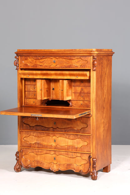 Edler Louis Philippe Sekretär um 1880 Gründerzeit Antik Vertiko Schrank Chiffoniere Schubladenkommode