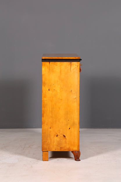 Wunderschöne Biedermeier Kommode Antik Vertiko Schubladenkommode Birke um 1850 Massivholz