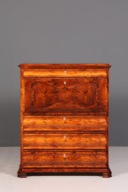Stilvoller Biedermeier Sekretär Vertiko Louis Philippe Kommode Schubladenkommode Antik Vintage