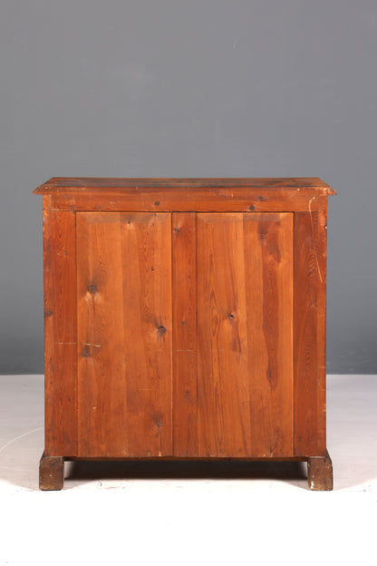 Stylish Louis Philippe Biedermeier antique chest of drawers, linen chest