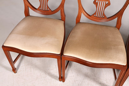 Edles 4x Englische Stühle Set Hepplewhite Stil Dining Chairs Antik Esszimmerstühle Küchenstühle Stuhlset Vintage