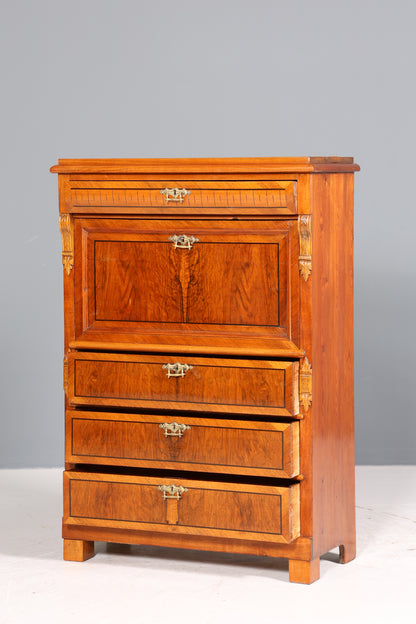 Edler Gründerzeit Sekretär Vertiko Highboard Louis Philippe Kommode Sekretär Schrank um 1880