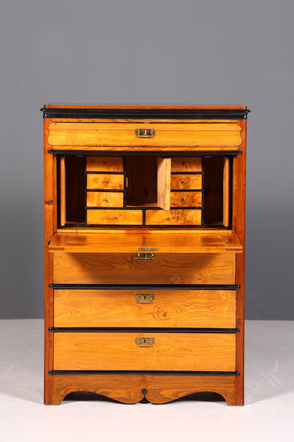 Traumhafter Louis Philippe Sekretär um 1880 Gründerzeit Antik Schrank Chiffoniere