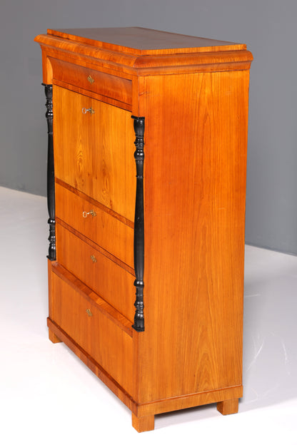 Beautiful Original Biedermeier Secretary around 1860 English Chest of Drawers Antique Office Chest of Drawers