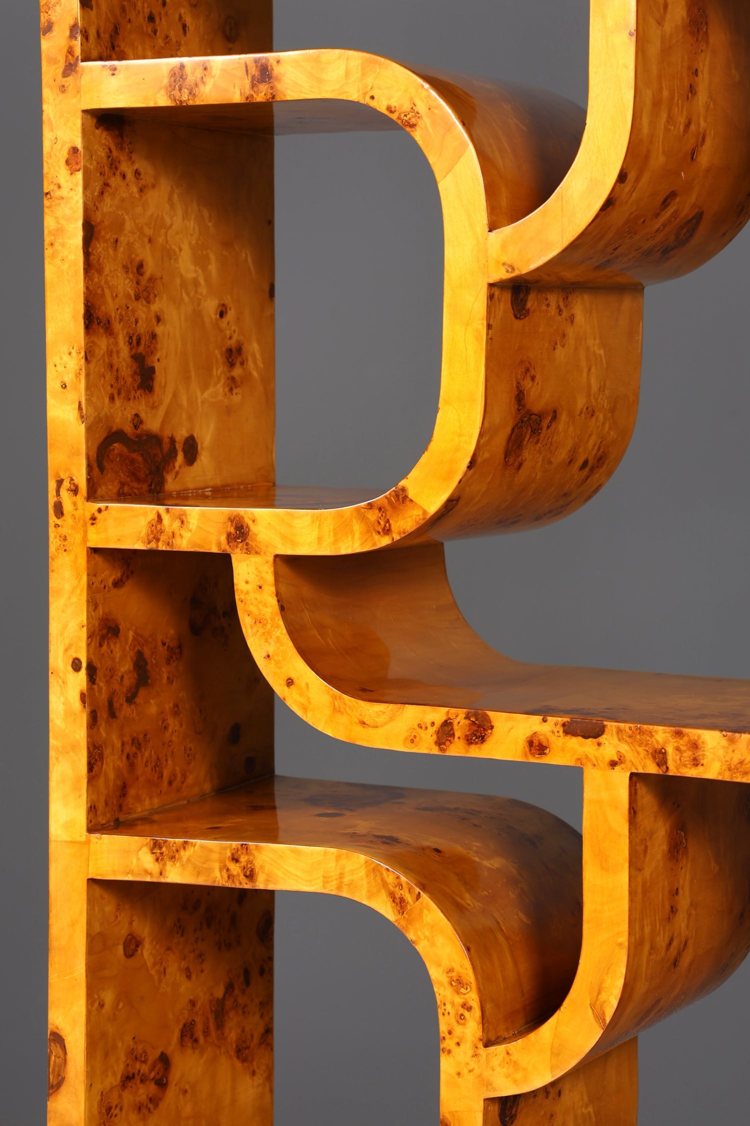 Beeindruckendes Ludvik Volak Stil Bücherregal Birke Art Deco Stil Luxus Möbel Kult Bibliothek Raumteiler