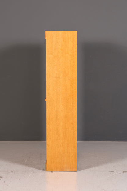 Schlichter Rollladenschrank Bauhaus Apothekerschrank Aktenschrank Büro Art Deco Schrank Massivholz Vintage