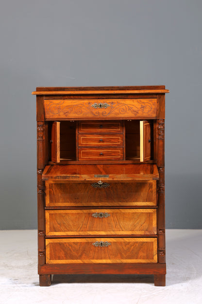 Edler Gründerzeit Sekretär Vertiko Highboard Jugendstil Kommode Schrank um 1880