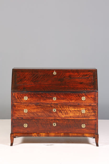 Wunderschöner Original Biedermeier Sekretär um 1860 Englisch Kommode Antik Bürokommode