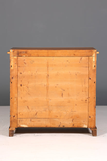 Beautiful Gründerzeit (late 19th-century) cabinet, Louis Philippe walnut chest of drawers, circa 1880