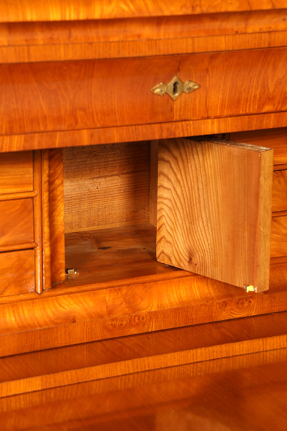 Beautiful Original Biedermeier Secretary around 1860 English Chest of Drawers Antique Office Chest of Drawers