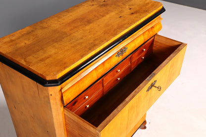Wunderschöne Biedermeier Kommode Antik Vertiko Schubladenkommode Birke um 1850 Massivholz