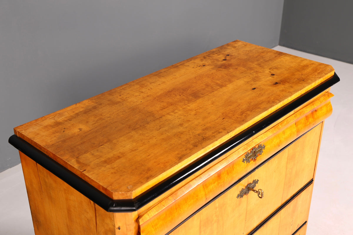 Wunderschöne Biedermeier Kommode Antik Vertiko Schubladenkommode Birke um 1850 Massivholz