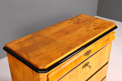 Wunderschöne Biedermeier Kommode Antik Vertiko Schubladenkommode Birke um 1850 Massivholz