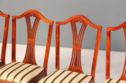 6x Edle Englische Stühle Englisch Dining Chairs Antik 60er Jahre Küchenstühle Stuhlset