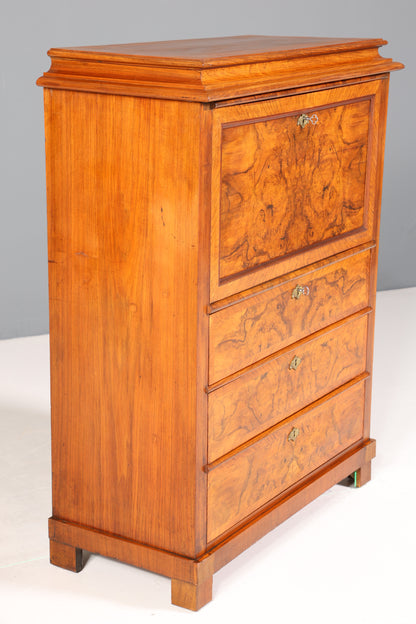 Wunderschöner Louis Philippe Sekretär um 1880 Gründerzeit Vertiko Antik Schrank Chiffoniere