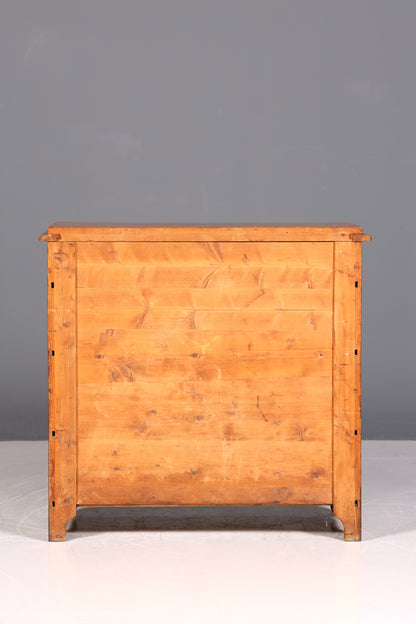 Wunderschöner Gründerzeit Schrank Jugendstil Kommode Antik Sideboard Anrichte