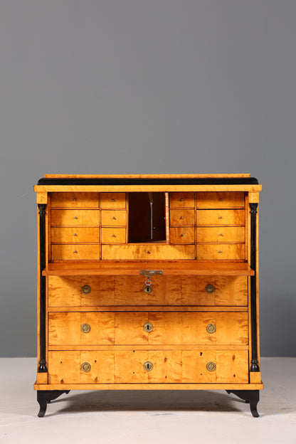 Wunderschöner Original Biedermeier Sekretär um 1860 Kommode Antik Bürokommode